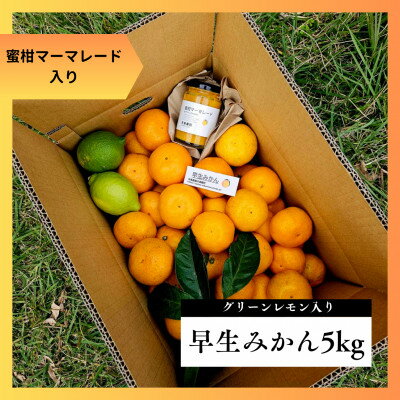 蜜柑マーマレード&グリーンレモン入り★早生みかん5kg★甘味と酸味のバランス良くジューシー!