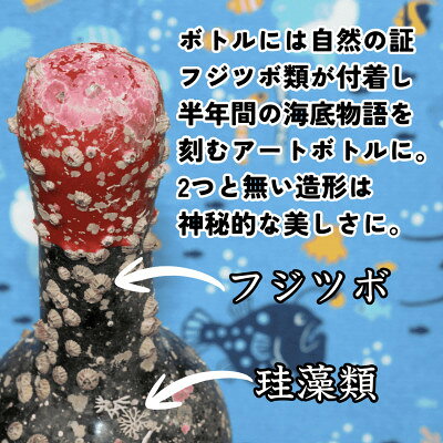 【ふるさと納税】【海底に半年沈めて熟成した赤ワイン】フルボディ NO BULL ZINFANDEL #20【1733859】 f143839-manazuru-10000118 神奈川県真鶴町 サンプル画像3