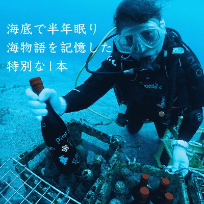 【ふるさと納税】【海底に半年沈めて熟成した白ワイン】辛口 NO BULL CHARDONNAY #21【1733863】