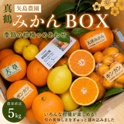 名称 お正月特別便♪季節の柑橘詰合せ5kgいろんな種類が詰まった1箱【12月下旬発送】【先行予約】 保存方法 常温 発送時期 2026年12月下旬頃発送予定 提供元 矢島農園 配達外のエリア なし お礼品の特徴 矢島農園の柑橘は、相模湾のミネラルを含む潮風と海に反射する太陽のもとで育ちます。恵まれた環境と人の手を惜しまず育てることで、甘味と酸味のバランスが良く、味がしっかりしていて、香りも良いと好評をいただいています! こちらはお正月だけの特別便!　香り豊かで適度な酸味もある、年末年始に一番美味しい柑橘5種類を楽しめる詰め合わせです。 市場には卸さない農家スタイルで、リピーターさんに支えられる小規模農園だからこその柑橘セットです。 詰め合わせの内容はお任せください! 何が届くかわからないドキドキや、新しい出会いもお楽しみ頂けるセットになっています。 おいしさ楽しさ重視、個性、大きさ不揃いもございますが、自然の姿を受け入れていただければ嬉しいです。 下記の柑橘からいずれか5種類が入ります。 早生みかん、大津みかん、レモン、ネーブルオレンジ、天草、ポンカン、はるみ、伊予柑、八朔 金柑、橙、柚子、その他 ■生産者の声 矢島農園は農家直送と地元直売のみで運営する、リピーターさんに支えられた小規模農園です^^ ふるさと納税へは2024年度から参加しています。 秋の早生みかんからスタートし、冬には地元品種で人気の大津みかん、不知火、春には地元特産の湘南ゴールド、初夏の甘夏、ニューサマーオレンジと年間30種類ほどの柑橘を栽培しています。 相模湾に面する真鶴町で潮風と太陽のを浴びて元気に育ったみかんを、愛情込めて丁寧に詰め合わせてお届けしています! 毎年リピート頂いて、自信をもってお届けしている美味しい柑橘達をお楽しみください^^ ■お礼品の内容について ・季節の柑橘類(品種おまかせ)[5kg] 　　原産地:神奈川県足柄下郡真鶴町 　　消費期限:発送日から30日 ■注意事項/その他 ※到着後は箱を開け、風通しの良い涼しい場所で保管してなるべくお早めにお召し上がりください。　 ※春以降、暖かい季節になりましたら、冷蔵庫保存をお勧めします。 ※消費期限を30日と記載していますが、個々に寿命が違ってきますので、お手数ですが小まめにご確認頂きますようお願いします。 ※品質の良い物を状態に合わせて順次発送しております。そのため、お届け日指定と再発送は承れません。 ※天候などの事情により、寄付受付期間やお届け日が変更になる場合がございます。予めご了承ください。 ※収穫状況により、発送までにお時間をいただく場合がございます。 ※サイズや個数、品種はご選択いただけません。 ※画像はイメージです。 ※配送準備中となった後は、お届け先の変更はできませんのでご注意ください。 ※配送日の指定はできません。 ※後払い決済をご利用の際は、必ず申込受付期間中に入金を完了いただくようお願いいたします。ご入金が遅れた場合、お届けができない場合がございます。 ・ふるさと納税よくある質問はこちら ・寄附申込みのキャンセル、返礼品の変更・返品はできません。あらかじめご了承ください。 【関連キーワード】 季節のご挨拶に お正月 賀正 新年 新春 初売り 年賀 成人式 成人祝 節分 バレンタイン ひな祭り ホワイトデー 卒業式 卒業祝い 入学祝 お花見 ゴールデンウィーク GW こどもの日 端午の節句 お母さん ママ 母の日 お父さん パパ 父の日 七夕 初盆 お盆 お中元 御中元 中元 お彼岸 残暑御見舞 残暑見舞い 敬老の日 おじいちゃん 祖父 おばあちゃん 祖母 寒中お見舞い クリスマス お歳暮 御歳暮 ギフト プレゼント 贈り物 セット 日常の贈り物に お見舞い 退院祝い 全快祝い 快気祝い 快気内祝い ご挨拶 ごあいさつ 引っ越しご挨拶 引越しご挨拶 お宮参り御祝 合格祝い 進学内祝い 成人式 御成人御祝 卒業記念品 卒業祝い 御卒業御祝 入学祝い 入学内祝い 小学校 中学校 高校 大学 就職祝い 社会人 幼稚園 入園内祝い 御入園御祝 お祝い 御祝い 内祝い 金婚式御祝 銀婚式御祝 御結婚お祝い ご結婚御祝い 御結婚御祝 結婚祝い 結婚内祝い 結婚式 引き出物 引出物 引き菓子 御出産御祝 ご出産御祝い 出産御祝 出産祝い 出産内祝い 御新築祝 新築御祝 新築内祝い 祝御新築 祝御誕生日 バースデー バースデイ バースディ 七五三御祝 753 初節句御祝 節句 昇進祝い 昇格祝い 就任 お供え 法事 供養 法人・企業様に 開店祝い 開店お祝い 開業祝い 周年記念 異動 栄転 転勤 退職 定年退職 挨拶回り 転職 お餞別 贈答品 景品 コンペ 粗品 手土産 寸志 歓迎 新歓 送迎 歓送迎 新年会 二次会 忘年会 記念品 関連キーワード 楽天ふるさと納税 ふるさと納税 ふるさと 39ショップ買いまわり 39ショップ キャンペーン 買いまわり 買い回り 買い周り お買い物マラソン マラソンセール SS 楽天スーパーセール スーパーセール スーパーSALE SS スーパーセール 人気 ランキング コロナ コロナ支援 お試し 贈答 贈答用 国産 年内 送料無料