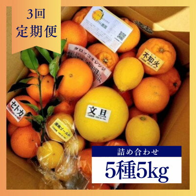 3位! 口コミ数「0件」評価「0」【発送月固定定期便】1～3月の季節の柑橘詰め合わせ5kg(3回定期便)毎月違う楽しい柑橘Box全3回【4072435】