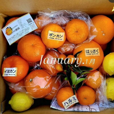 神奈川県真鶴町の画像2