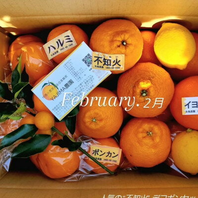 神奈川県真鶴町の画像3