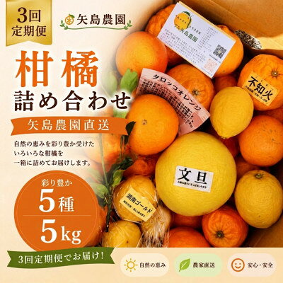 [発送月固定定期便]1〜3月の季節の柑橘詰め合わせ5kg(3回定期便)毎月違う楽しい柑橘BOX全3回