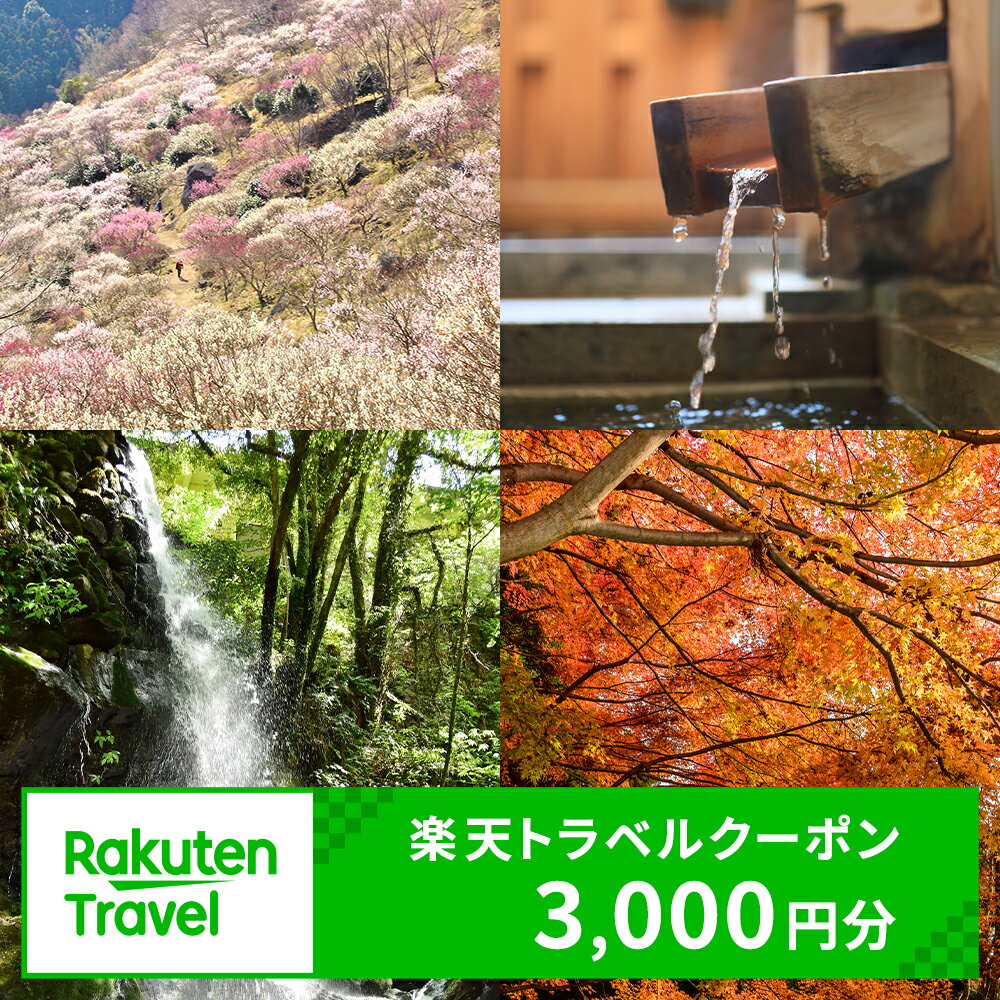 神奈川県湯河原町の対象施設で使える楽天トラベルクーポン 寄付額10,000円