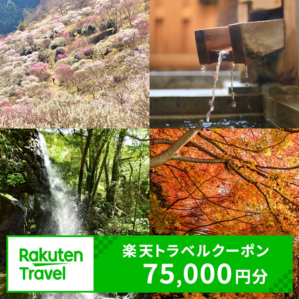 神奈川県湯河原町の対象施設で使える楽天トラベルクーポン 寄附額250,000円