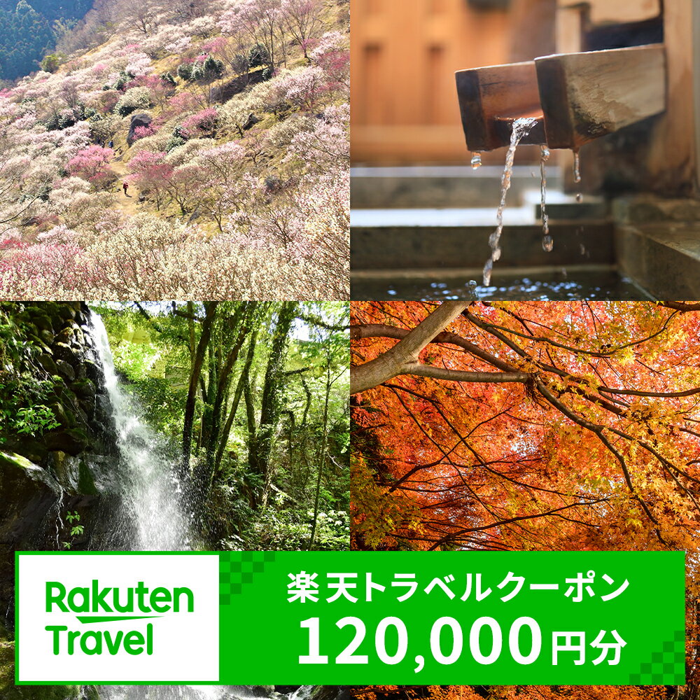 10位! 口コミ数「0件」評価「0」神奈川県湯河原町の対象施設で使える楽天トラベルクーポン　寄付額400,000円