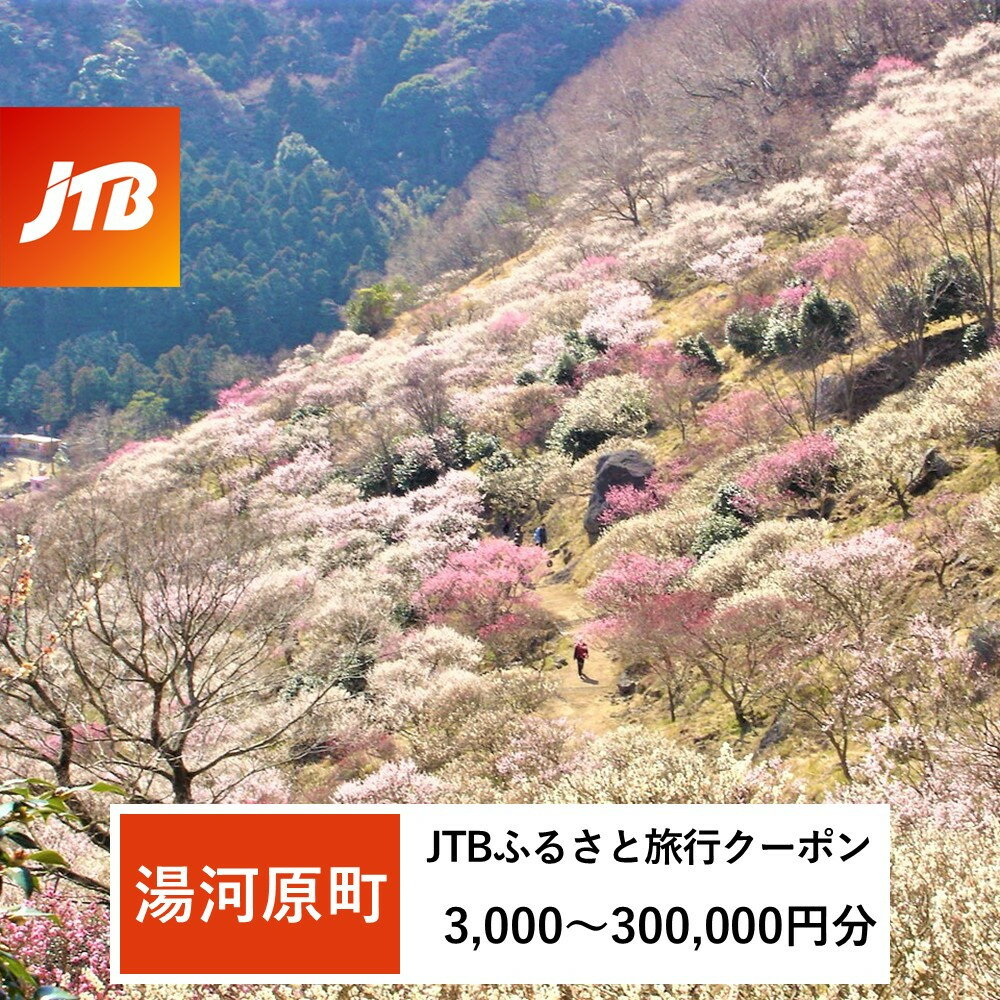 [湯河原町]JTBふるさと旅行クーポン(3,000円分〜300,000円分) | 旅行 トラベル 予約 国内旅行 JTB 宿泊 観光 体験 旅行券 宿泊券 旅行予約 温泉 ホテル 旅館 チケット 子供 子連れ カップル 家族 人気 店頭 オンライン ネット予約 電話 有効期間3年
