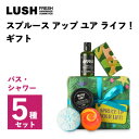 【ふるさと納税】LUSH スプルース アップ ユア ライフ! ギフト　バス・シャワー5種セット【1466438】