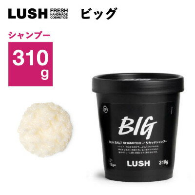 【ふるさと納税】LUSH ラッシュ ビッグ リキッドシャンプー 310g スカルプケア シーソルト【1640981】 【ふるさと納税】LUSH ラッシュ ビッグ リキッドシャンプー 310g スカルプケア シーソルト【1640981】