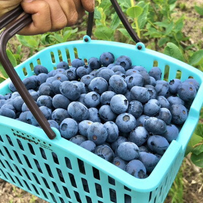 神奈川県愛川町の画像2