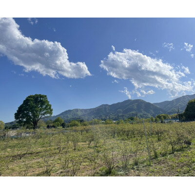 神奈川県愛川町の画像3