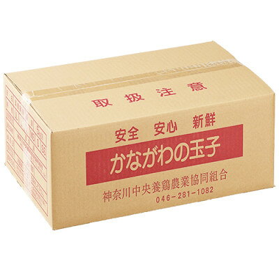 神奈川県愛川町の【ふるさと納税】相模の赤玉子約5kg　75個+割れ保証5個　～ 神奈川県 愛川町 ～【配送不可地域：離島】【1745588】｜アングル2