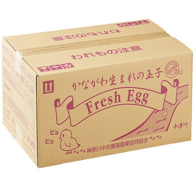 【ふるさと納税】相模の赤玉子約10kg　140個+割れ保証10個前後【配送不可地域：離島】【1745589】