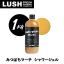 【ふるさと納税】LUSH ラッシュ みつばちマーチ シャワージェル 1000g ボディーソープ_ LUSH シャワージェル ラッシュ 人気 おすすめ 送料無料 ...