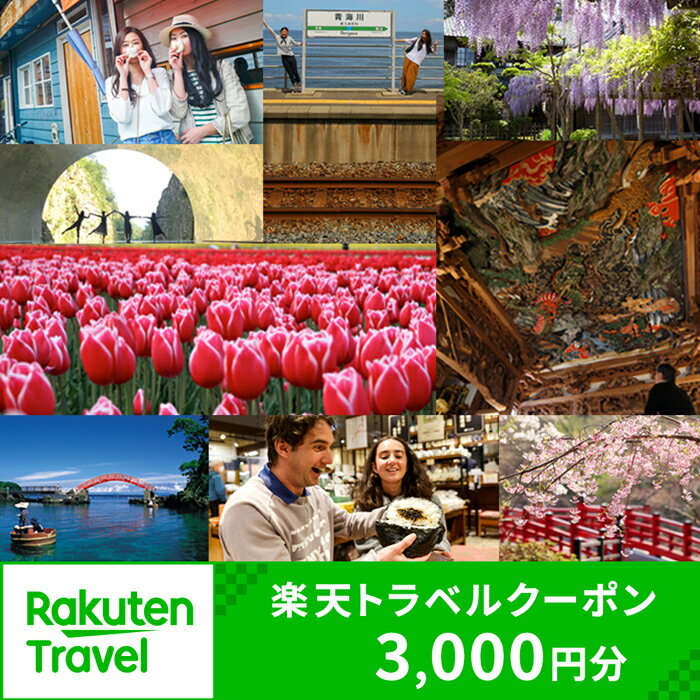 新潟県の対象施設で使える楽天トラベルクーポン 寄付額10,000円