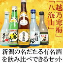 【ふるさと納税】新潟人気酒！越乃寒梅と八海山入り！ミニボトル