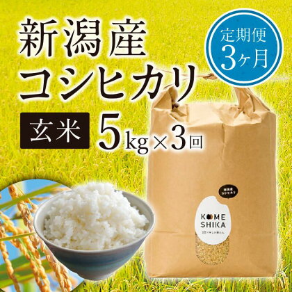 【令和5年産米】【定期便3ヵ月】新潟産コシヒカリ 玄米5kg×3回