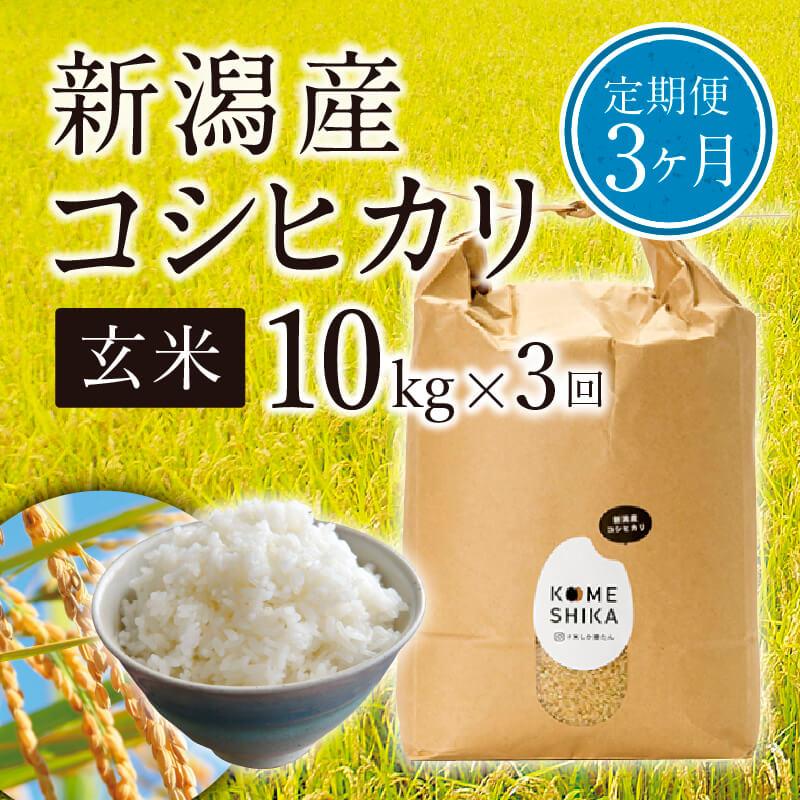 【ふるさと納税】【令和5年産米】【定期便3ヵ月】新潟産コシヒカリ玄米10kg×3回