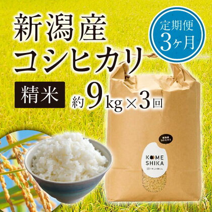 【令和5年産米】【定期便3ヵ月】新潟産コシヒカリ精米約9kg×3回　精米したてをお届け