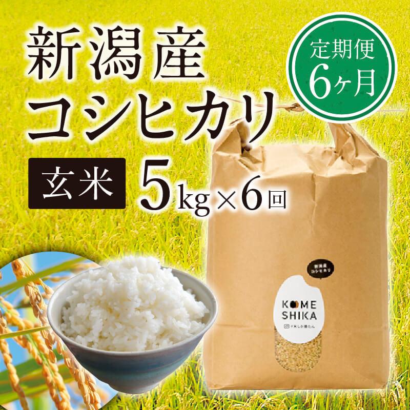 【令和5年産米】【定期便6ヵ月】新潟産コシヒカリ 玄米5kg×6回