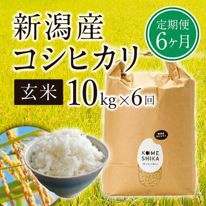 【令和5年産米】【定期便6ヵ月】新潟産コシヒカリ 玄米10kg×6回