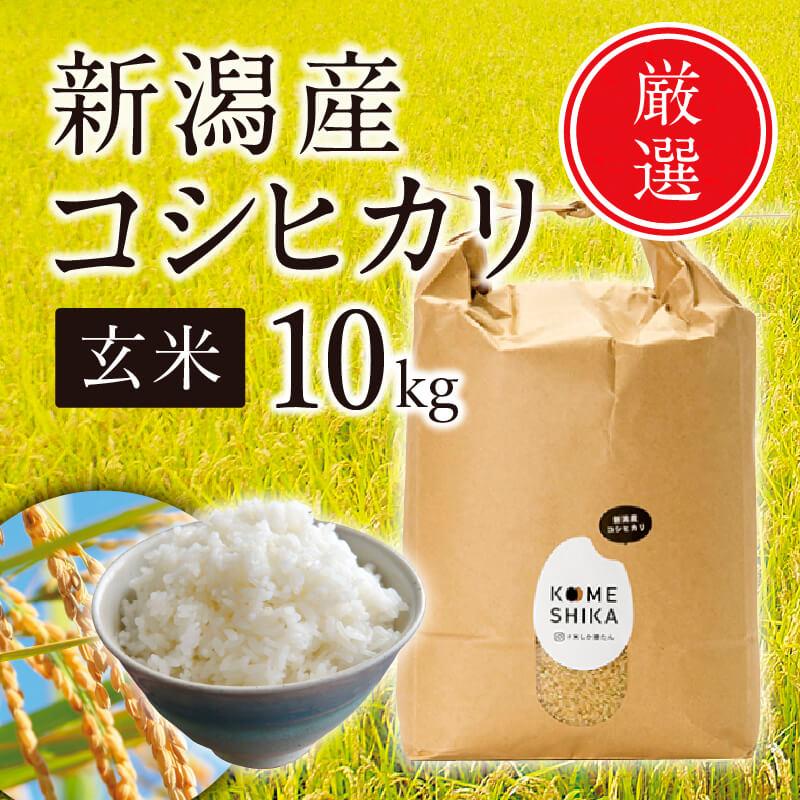 【ふるさと納税】【令和5年産米】新潟産コシヒカリ 玄米10kg