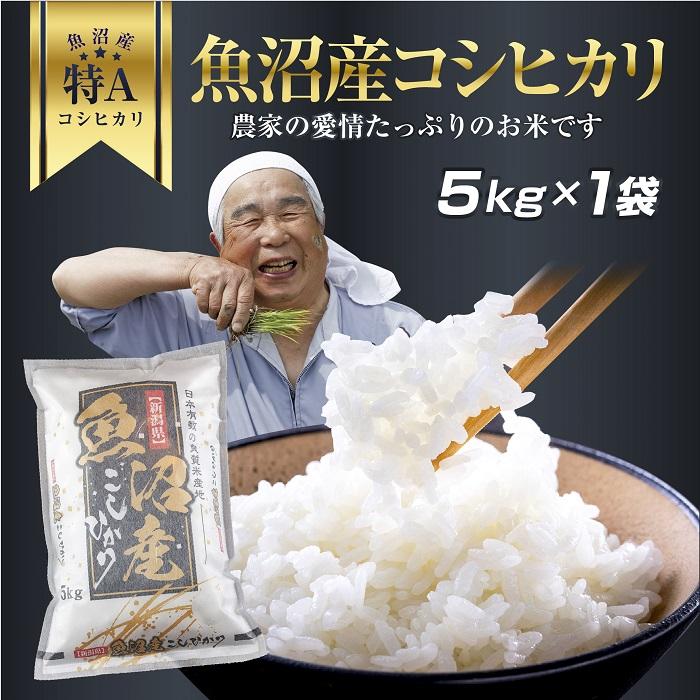 新潟県 魚沼産 コシヒカリ お米 5kg こしひかり 精米 米(お米の美味しい炊き方ガイド付き)