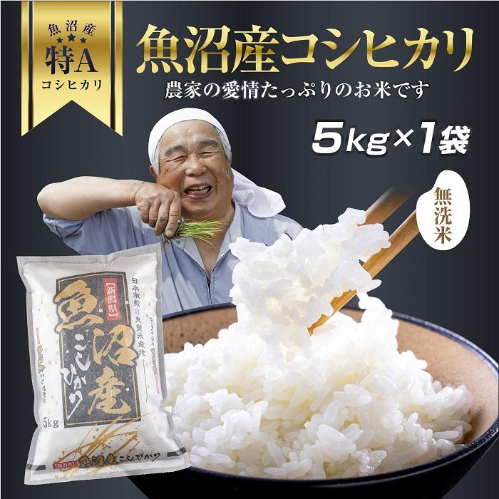 DH02 「無洗米」 新潟県 魚沼産 コシヒカリ お米 5kg こしひかり 精米 米（お米の美味しい炊き方ガイド付き）