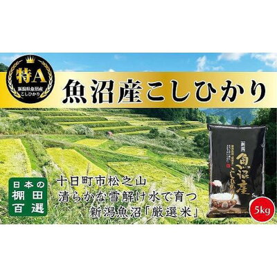 楽天ふるさと納税　【ふるさと納税】食味鑑定士が選ぶ　日本棚田百選のお米　天空の里・魚沼産こしひかり　5kg×1