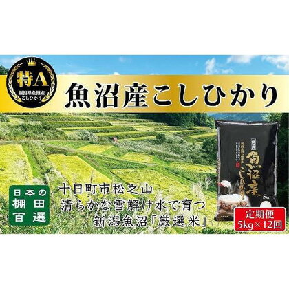 食味鑑定士が選ぶ　【毎月定期便　12ヵ月】日本棚田百選のお米　天空の里　　魚沼産こしひかり5kg（5kg ×1）×全12回