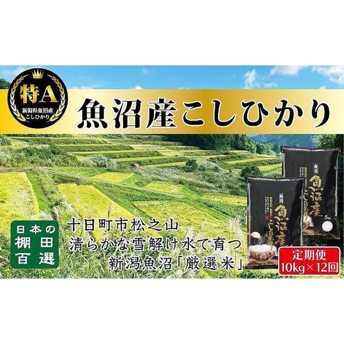 【ふるさと納税】食味鑑定士が選ぶ　【毎月定期便　12ヵ月】日本棚田百選のお米　天空の里　　魚沼産こしひかり10kg（5kg ×2）×全12回