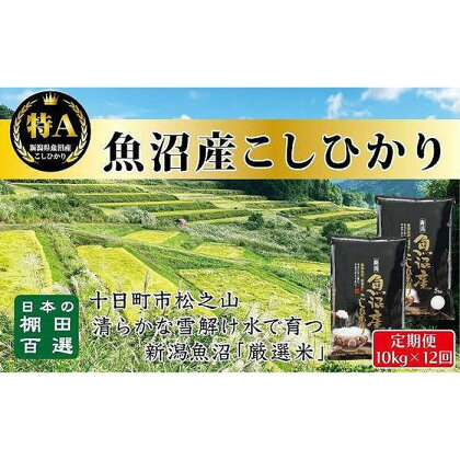 食味鑑定士が選ぶ　【毎月定期便　12ヵ月】日本棚田百選のお米　天空の里　　魚沼産こしひかり10kg（5kg ×2）×全12回