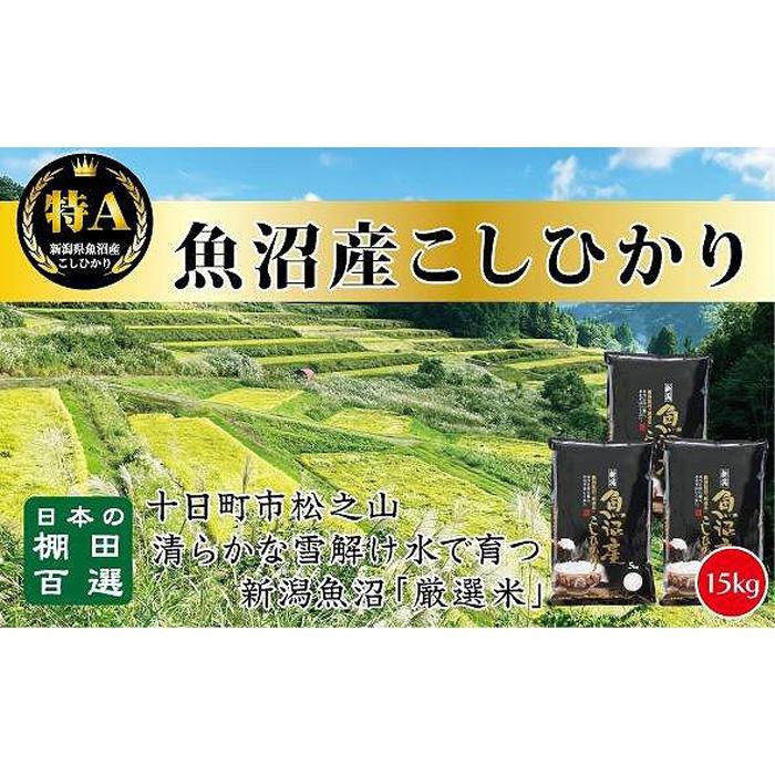 【ふるさと納税】食味鑑定士が選ぶ　日本棚田百選のお米　天空の