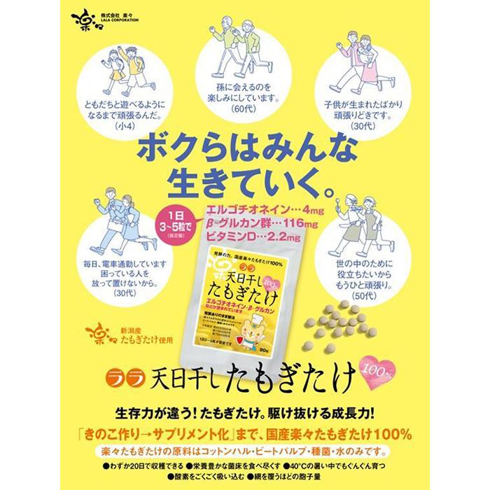 【ふるさと納税】ララ　天日干し　たもぎたけ 国産・無添加・無農薬