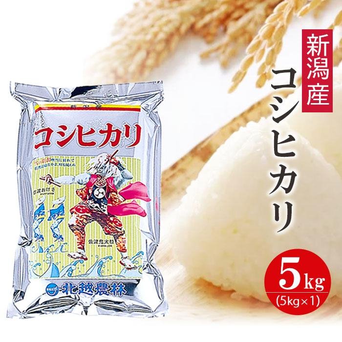 【ふるさと納税】新潟産コシヒカリ5kg 令和4年産｜新潟県 お米 5kg こしひかり 精米