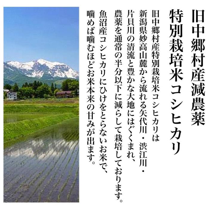 【ふるさと納税】【令和5年度産】新潟県減農薬特別栽培米 そのまんま真空パック 900g×6袋セット