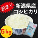 28位! 口コミ数「0件」評価「0」【訳あり！】新潟県産コシヒカリ 5kg | お米 こめ 白米 食品 人気 おすすめ 送料無料