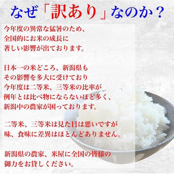 【ふるさと納税】【訳あり！】新潟県産コシヒカリ 5kg | お米 こめ 白米 食品 人気 おすすめ 送料無料