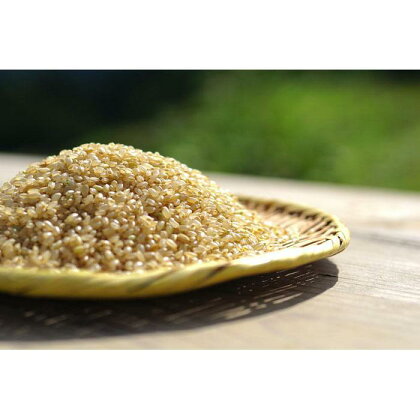 【玄米】R5年産 コシヒカリ5kg 一等米100% / 雪国棚田米 ~農薬・化学肥料不使用~ | お米 こめ 食品 人気 おすすめ 送料無料