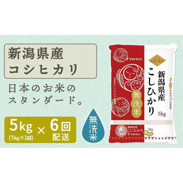 【ふるさと納税】【定期便全6回】無洗米新潟県産コシヒカリ5k