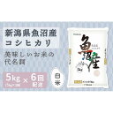 57位! 口コミ数「0件」評価「0」【定期便全6回】新潟県魚沼産コシヒカリ5kg | お米 こめ 白米 食品 人気 おすすめ 送料無料