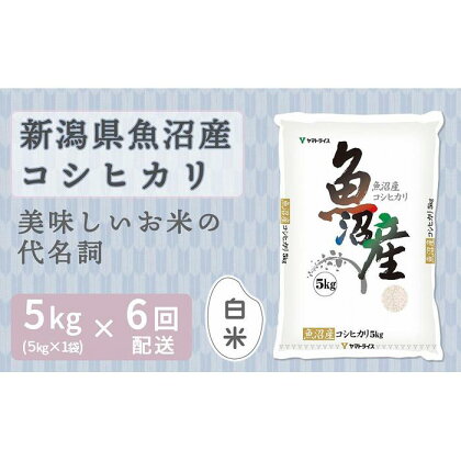 【定期便全6回】新潟県魚沼産コシヒカリ5kg | お米 こめ 白米 食品 人気 おすすめ 送料無料