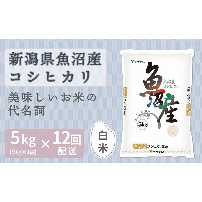 【ふるさと納税】【定期便全12回】新潟県魚沼産コシヒカリ5k