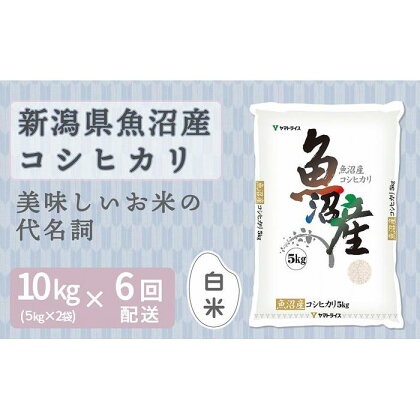 【定期便全6回】新潟県魚沼産コシヒカリ10kg | お米 こめ 白米 食品 人気 おすすめ 送料無料
