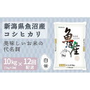 【ふるさと納税】【定期便全12回】新潟県魚沼産コシヒカリ10