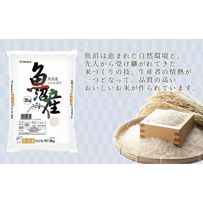 【ふるさと納税】【定期便全12回】新潟県魚沼産コシヒカリ10kg | お米 こめ 白米 食品 人気 おすすめ 送料無料