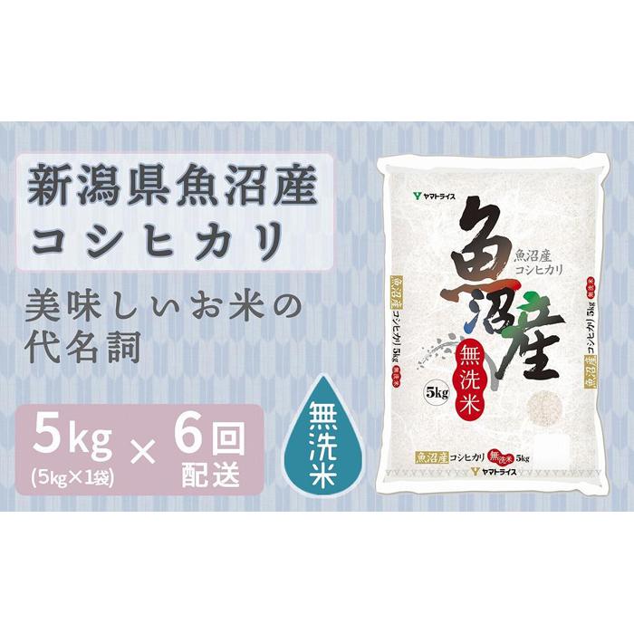 21位! 口コミ数「0件」評価「0」【定期便全6回】無洗米新潟県魚沼産コシヒカリ5kg | お米 こめ 白米 食品 人気 おすすめ 送料無料