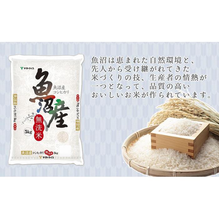 【ふるさと納税】【定期便全12回】無洗米新潟県魚沼産コシヒカリ10kg | お米 こめ 白米 食品 人気 おすすめ 送料無料