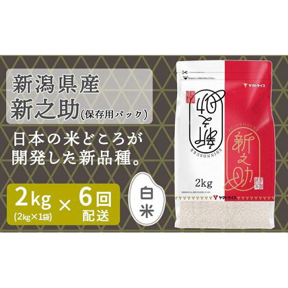 【定期便全6回】新潟県産新之助2kg | お米 こめ 白米 食品 人気 おすすめ 送料無料
